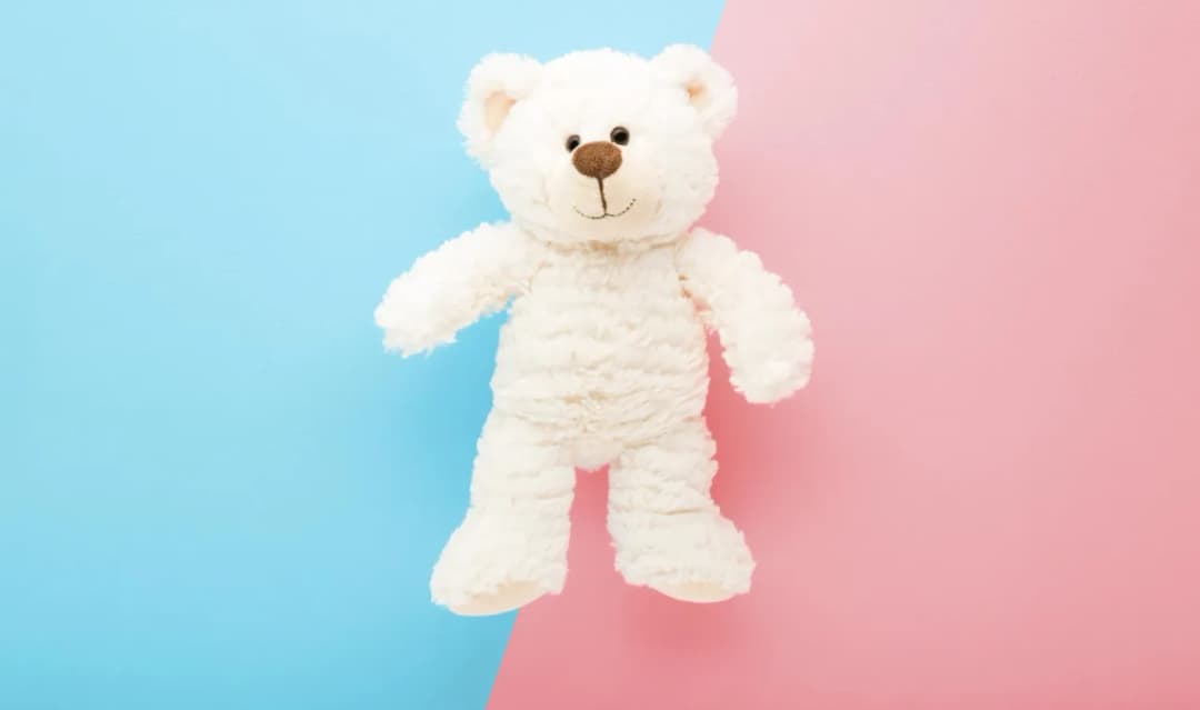 Kto śpiewał białego misia? Poznaj artystę i historię piosenki